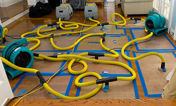 Professional Crawl Space Water Removal technician working in Newtown, PA